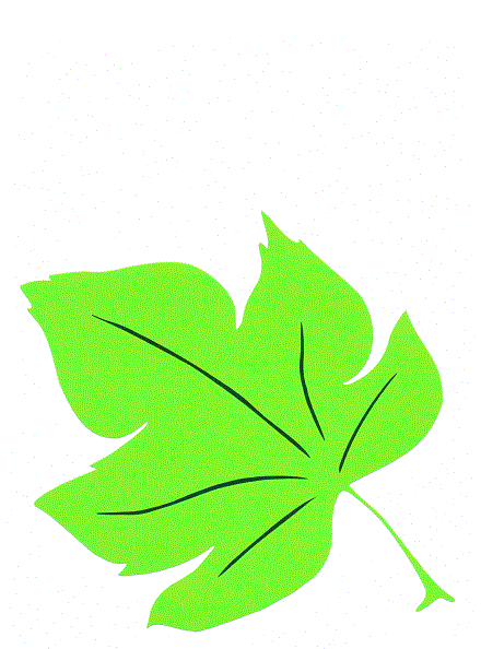 Avatar for mosaic builders